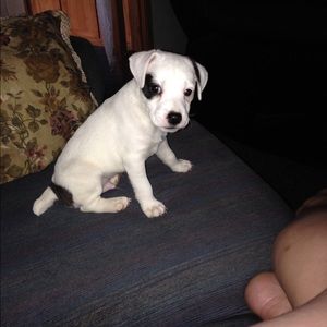 Meet your Posher, Jeanie