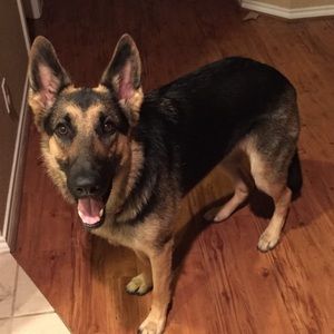 Meet your Posher, Michelle