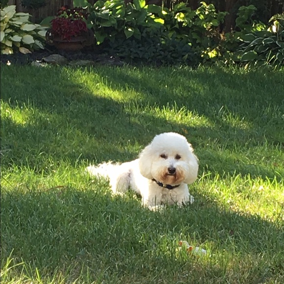 Meet your Posher, Michelle - Picture 2 of 2