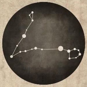 Meet your Posher, Summer