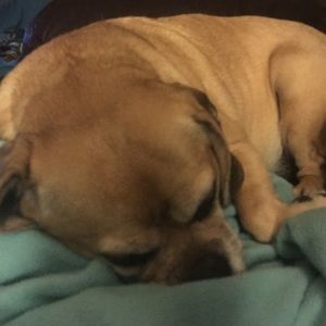 Meet your Posher, Lea