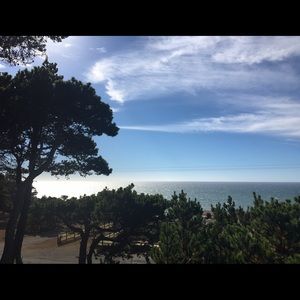 Meet your Posher, Shelley