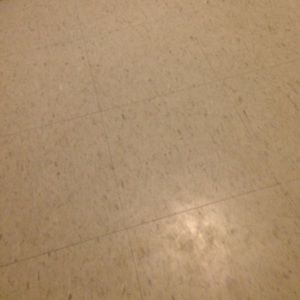 Meet your Posher, Jackson