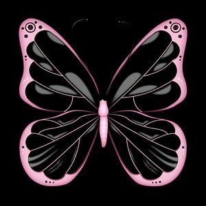 Meet your Posher, Teri