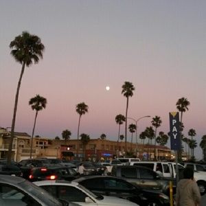 Meet your Posher, Citlallli