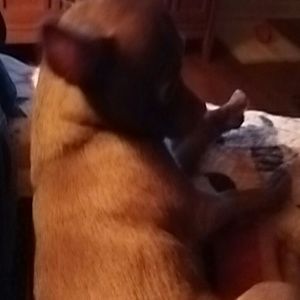 Meet your Posher, Denise