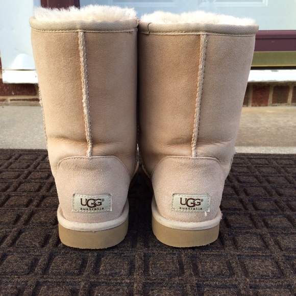 classic short uggs