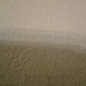 Meet your Posher, Danyelle