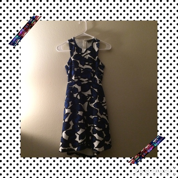 Floral Blue and White Dress