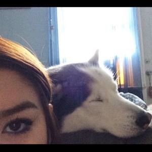 Meet your Posher, Demy