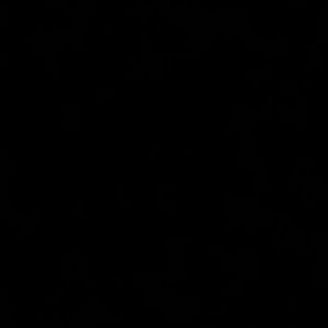 Meet your Posher, Avaline