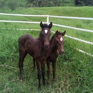 Meet your Posher, Celina