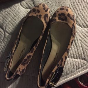 Cheetah flats