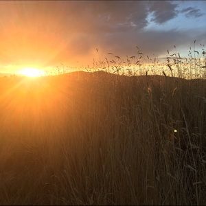 Meet your Posher, Katya