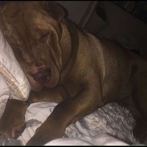 Meet your Posher, Regina