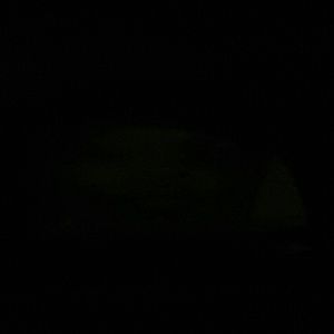 Meet your Posher, Beverly