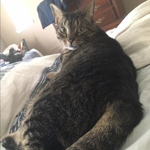 Meet your Posher, Acd