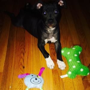 Meet your Posher, Derrick