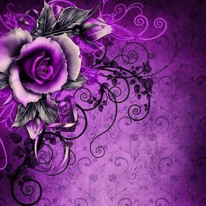 Meet your Posher, Sheila