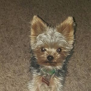 Meet your Posher, Eric