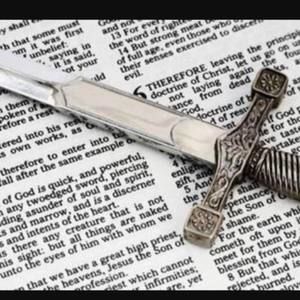 Meet your Posher, Bobbie