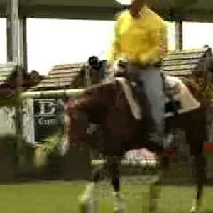 Meet your Posher, Sonny