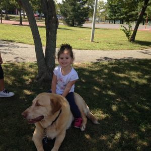 Meet your Posher, Lorraine