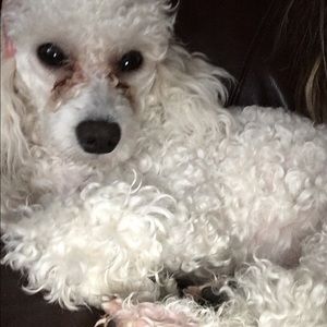 Meet your Posher, Louise