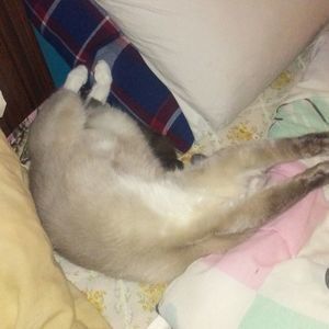 Meet your Posher, Tonya