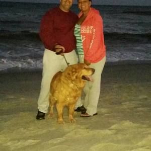 Meet your Posher, Iris