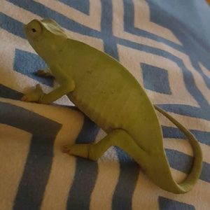 Meet your Posher, Jesus