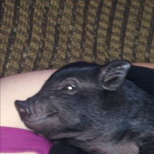 Meet your Posher, Janelle