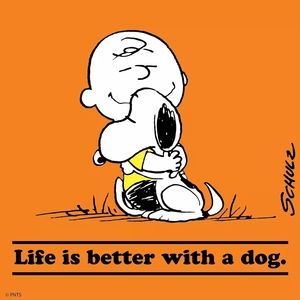 Meet your Posher, Sue