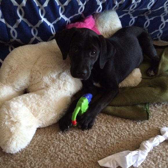 Meet your Posher, Yo - Picture 2 of 3