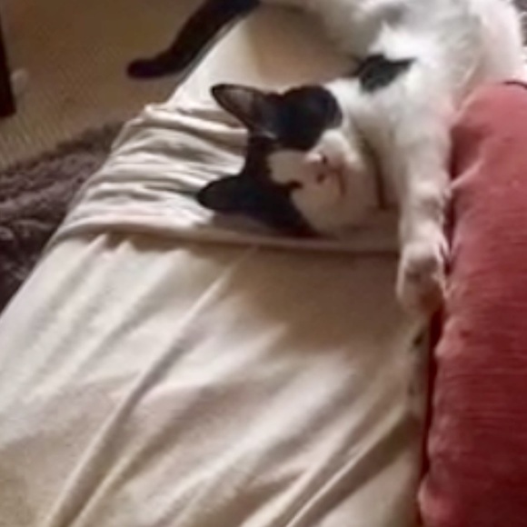 Meet your Posher, Yo - Picture 3 of 3