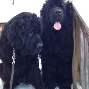 Meet your Posher, Mary ann