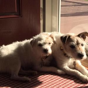 Meet your Posher, Donna