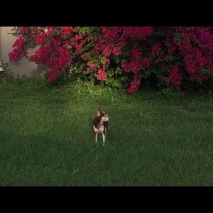 Meet your Posher, Patty