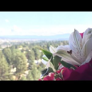 Meet your Posher, Will