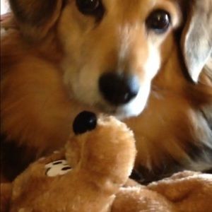 Meet your Posher, Pam