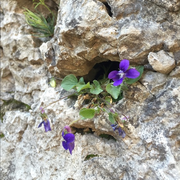 Meet your Posher, Kathryn