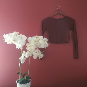 Topshop Burgundy Crop Top