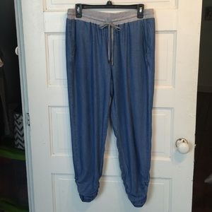 Chambray Splendid Joggers