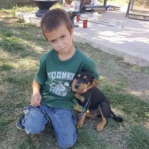 Meet your Posher, Shannon