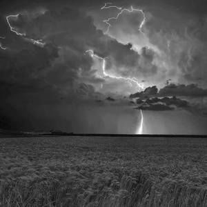 Meet your Posher, Candy