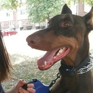 Meet your Posher, Jennifer