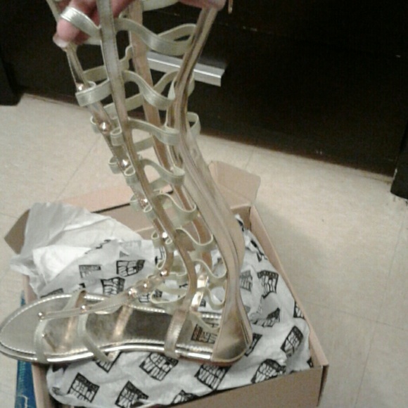 Meet your Posher, Ana - Picture 2 of 4