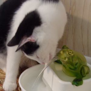 Meet your Posher, Margaret