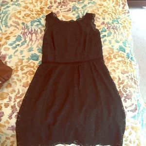 🚨Ann Taylor Loft lace dress size 10
