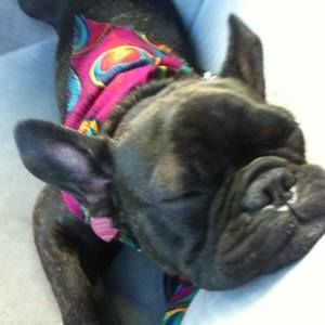 Meet your Posher, Laura